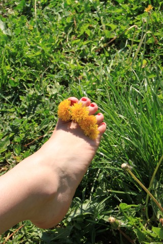 Barefoot-In-Grass_Yellow-Flowers-Between-Toes__2920IMG_5240-320x480